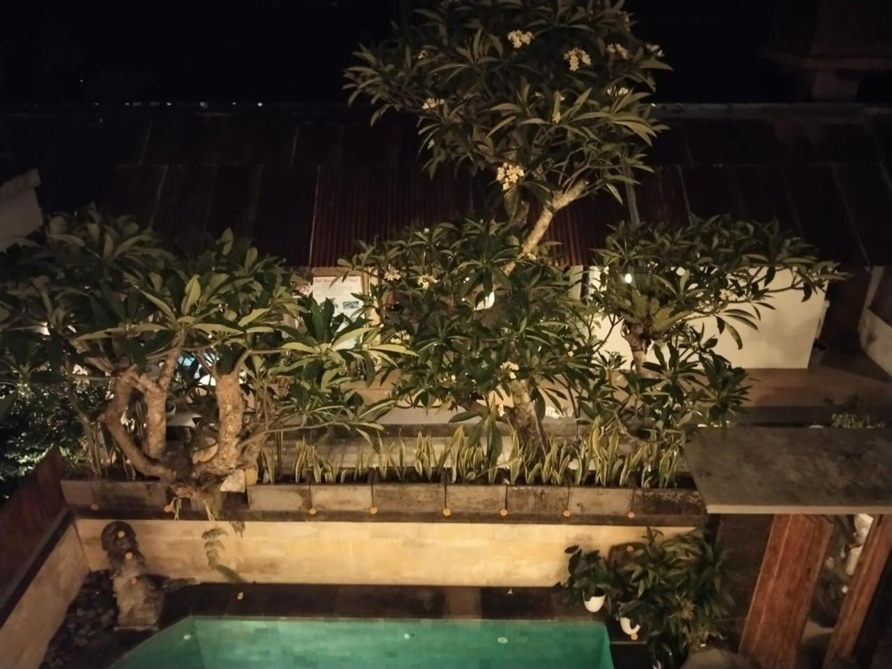 Danu House Ubud Quarto foto